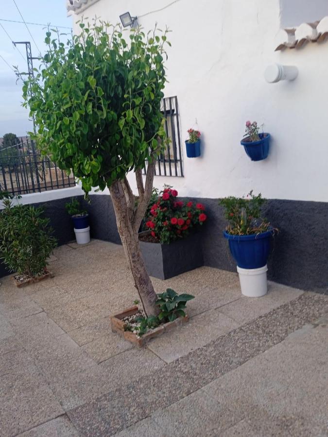 La Cueva De Guadix Villa Ngoại thất bức ảnh
